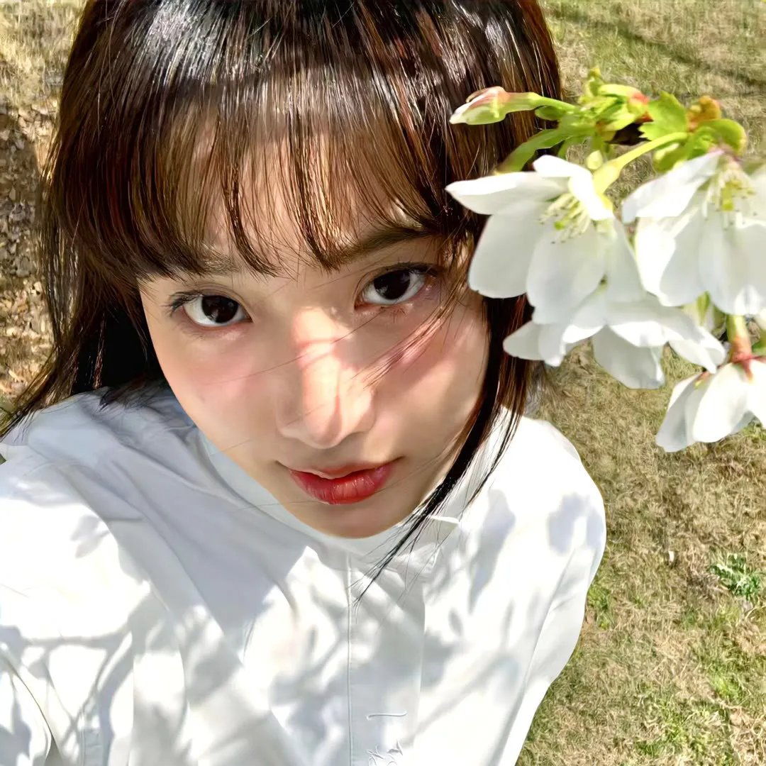 贝蕾妮丝